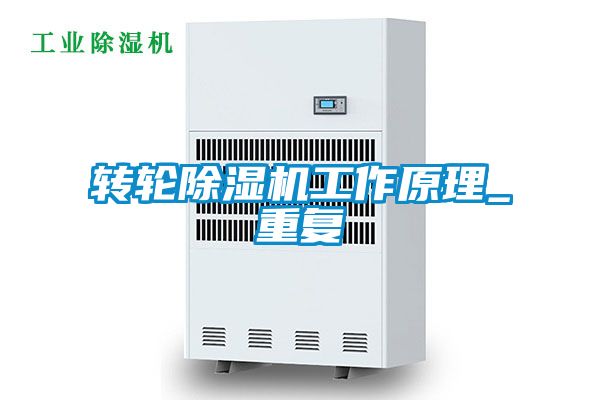 轉(zhuǎn)輪除濕機工作原理_重復