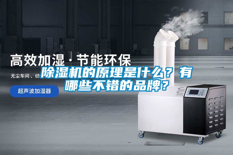 除濕機(jī)的原理是什么？有哪些不錯(cuò)的品牌？