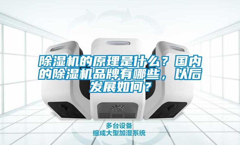 除濕機的原理是什么？國內(nèi)的除濕機品牌有哪些，以后發(fā)展如何？