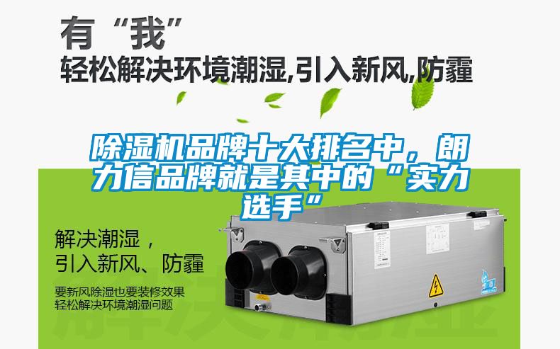 除濕機品牌十大排名中，朗力信品牌就是其中的“實力選手”
