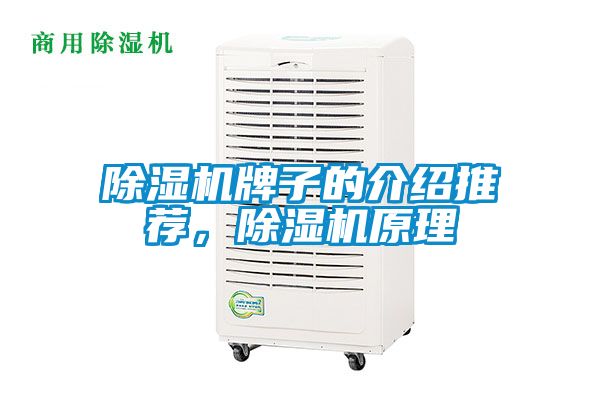 除濕機(jī)牌子的介紹推薦，除濕機(jī)原理