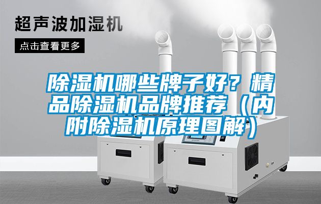 除濕機哪些牌子好？精品除濕機品牌推薦（內(nèi)附除濕機原理圖解）