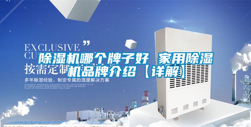 除濕機(jī)哪個(gè)牌子好 家用除濕機(jī)品牌介紹【詳解】