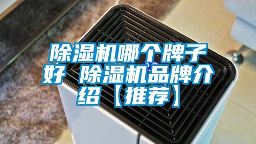 除濕機(jī)哪個牌子好 除濕機(jī)品牌介紹【推薦】