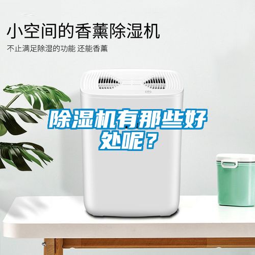 除濕機(jī)有那些好處呢？