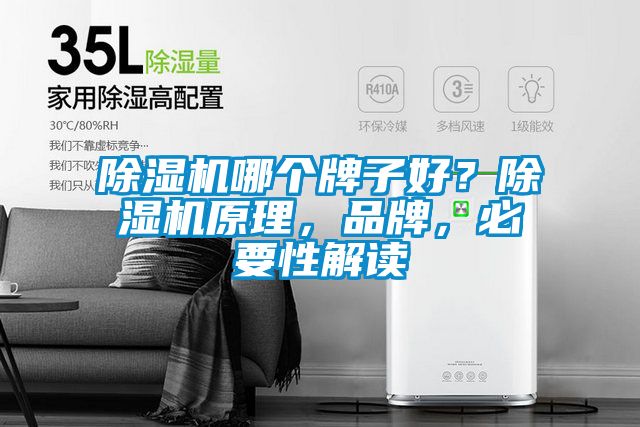 除濕機哪個牌子好？除濕機原理，品牌，必要性解讀