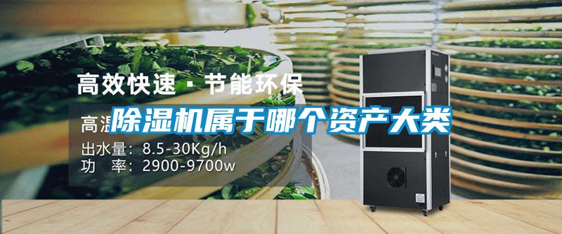 除濕機(jī)屬于哪個(gè)資產(chǎn)大類(lèi)
