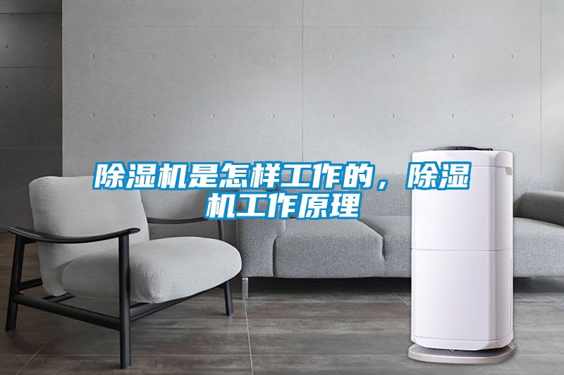除濕機是怎樣工作的，除濕機工作原理