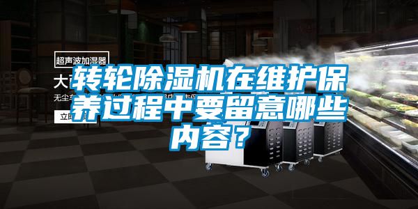 轉輪除濕機在維護保養(yǎng)過程中要留意哪些內容？