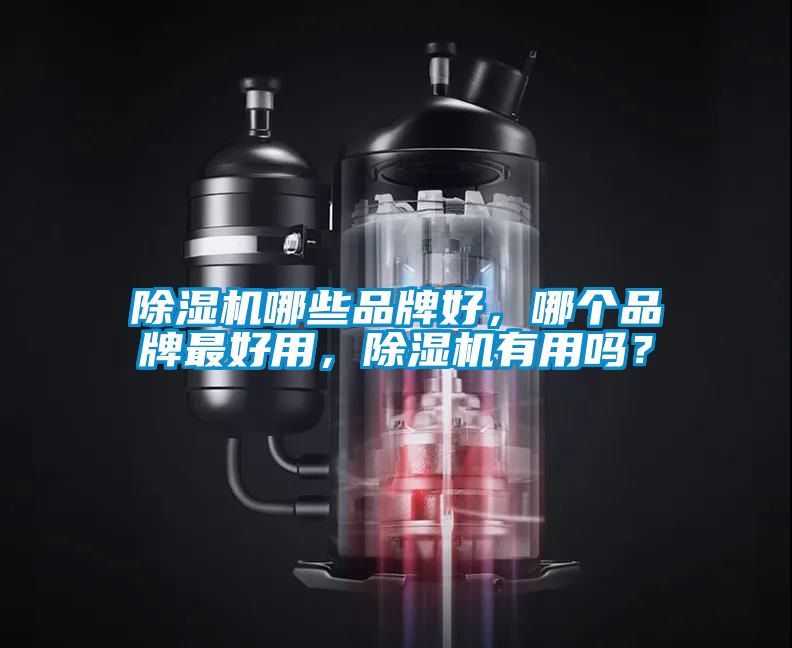 除濕機(jī)哪些品牌好，哪個(gè)品牌最好用，除濕機(jī)有用嗎？