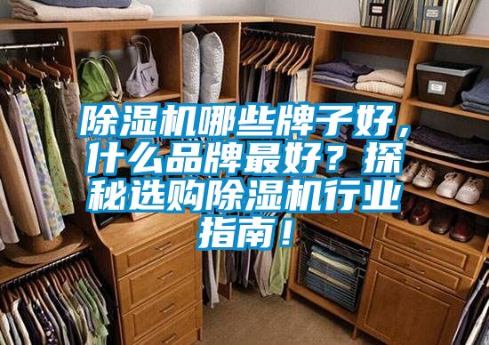 除濕機(jī)哪些牌子好，什么品牌最好？探秘選購除濕機(jī)行業(yè)指南！