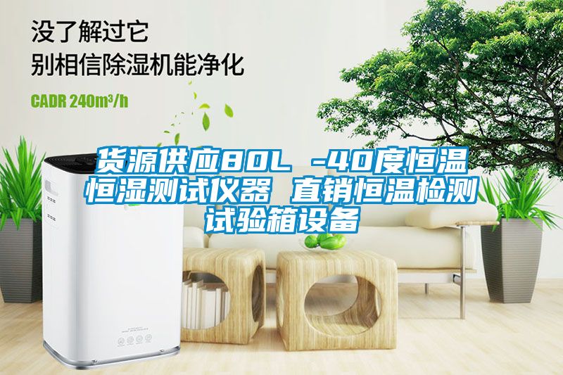 貨源供應(yīng)80L -40度恒溫恒濕測(cè)試儀器 直銷(xiāo)恒溫檢測(cè)試驗(yàn)箱設(shè)備