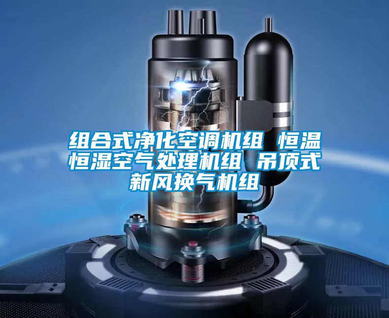 組合式凈化空調(diào)機組 恒溫恒濕空氣處理機組 吊頂式新風換氣機組