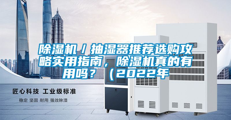除濕機(jī)／抽濕器推薦選購攻略實(shí)用指南，除濕機(jī)真的有用嗎？（2022年