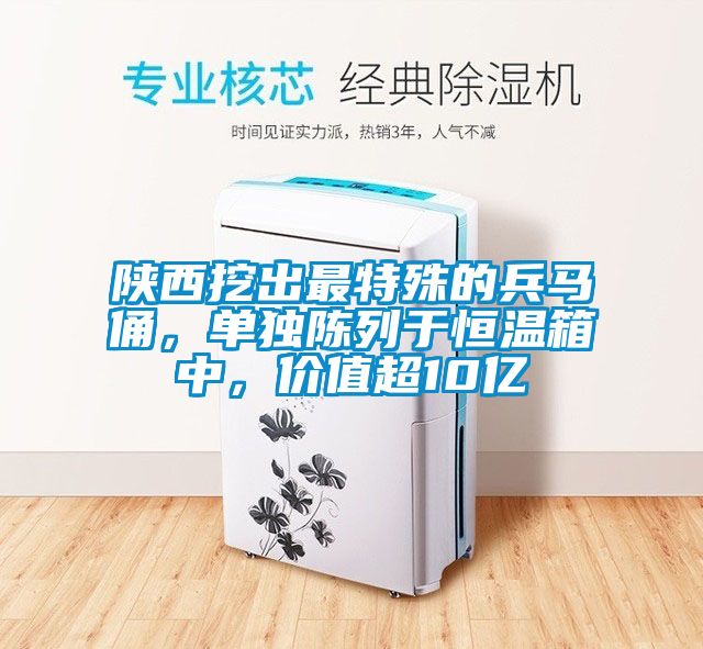 陜西挖出最特殊的兵馬俑，單獨(dú)陳列于恒溫箱中，價(jià)值超10億