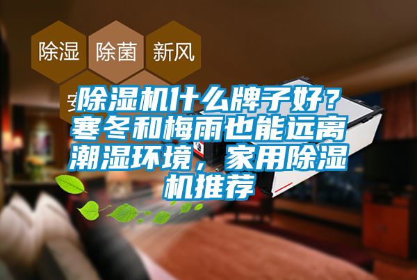除濕機什么牌子好？寒冬和梅雨也能遠(yuǎn)離潮濕環(huán)境，家用除濕機推薦