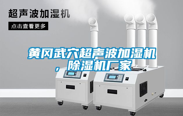 黃岡武穴超聲波加濕機，除濕機廠家