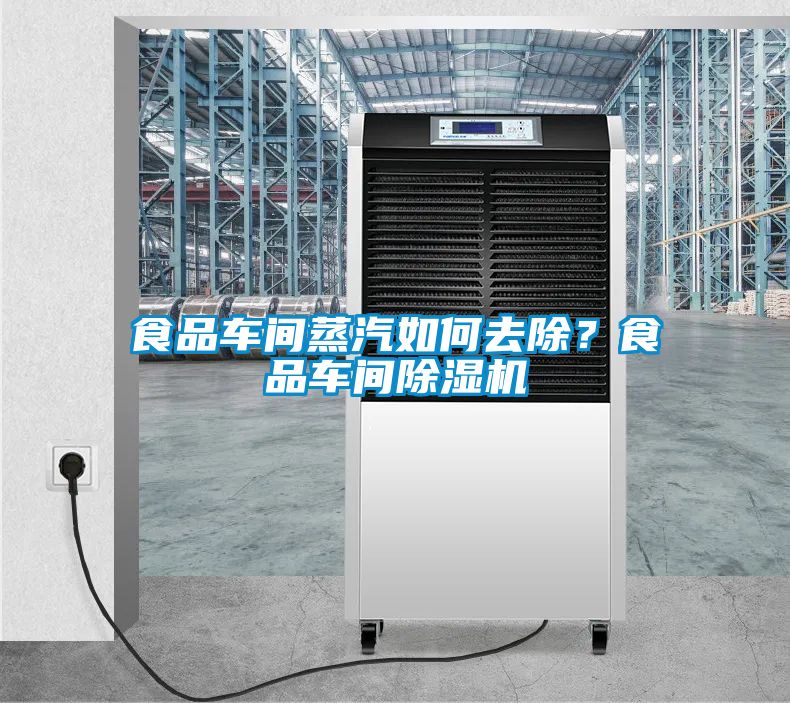食品車間蒸汽如何去除？食品車間除濕機