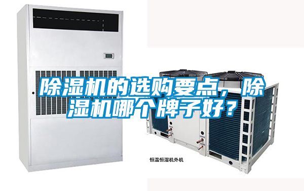 除濕機的選購要點，除濕機哪個牌子好？