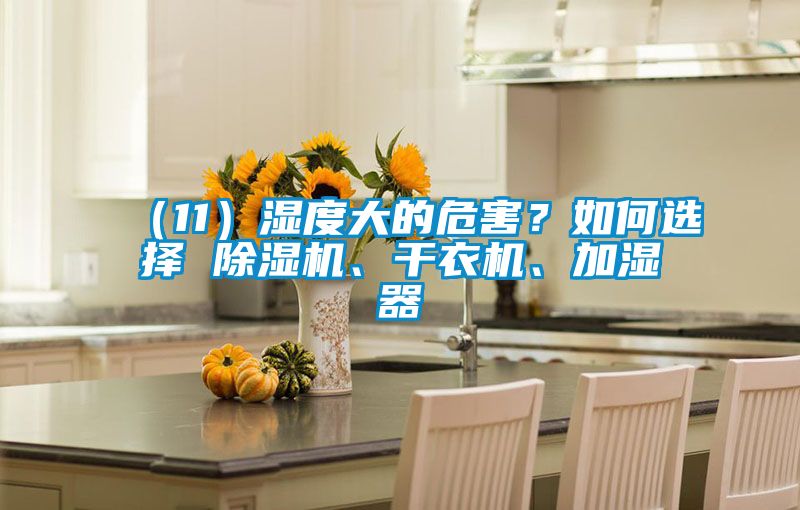 （11）濕度大的危害？如何選擇 除濕機(jī)、干衣機(jī)、加濕器