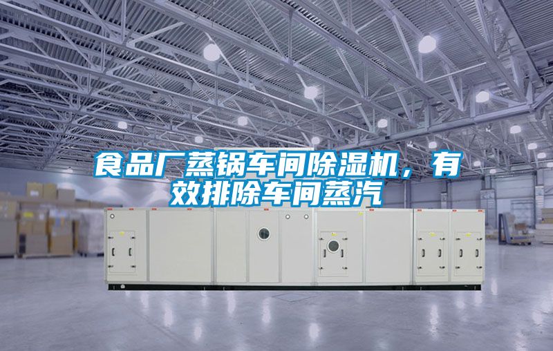 食品廠蒸鍋車間除濕機(jī)，有效排除車間蒸汽
