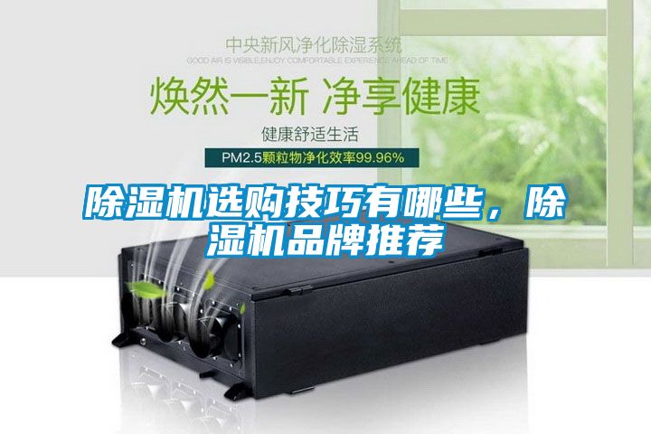 除濕機選購技巧有哪些，除濕機品牌推薦