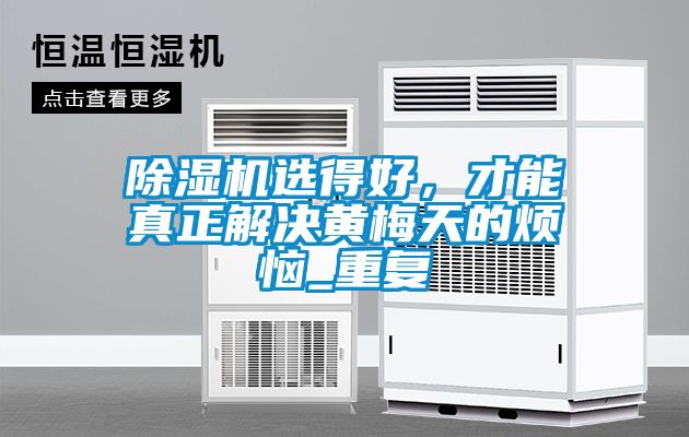 除濕機(jī)選得好，才能真正解決黃梅天的煩惱_重復(fù)