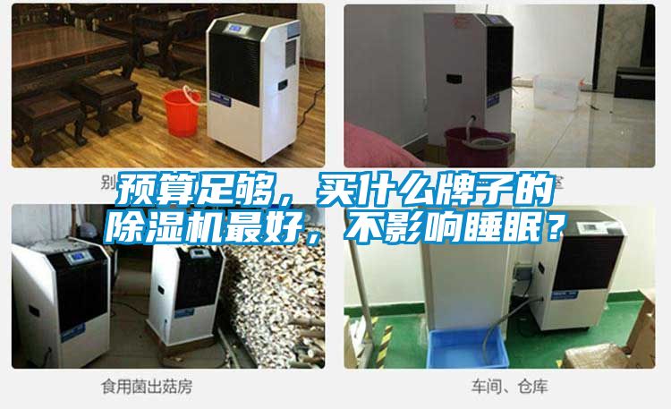預(yù)算足夠，買什么牌子的除濕機(jī)最好，不影響睡眠？