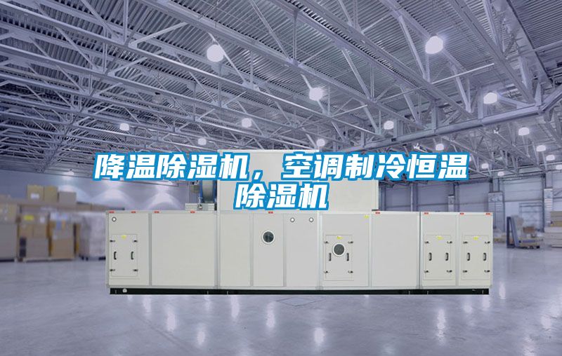 降溫除濕機，空調(diào)制冷恒溫除濕機