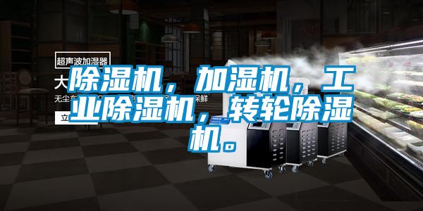 除濕機(jī)，加濕機(jī)，工業(yè)除濕機(jī)，轉(zhuǎn)輪除濕機(jī)。