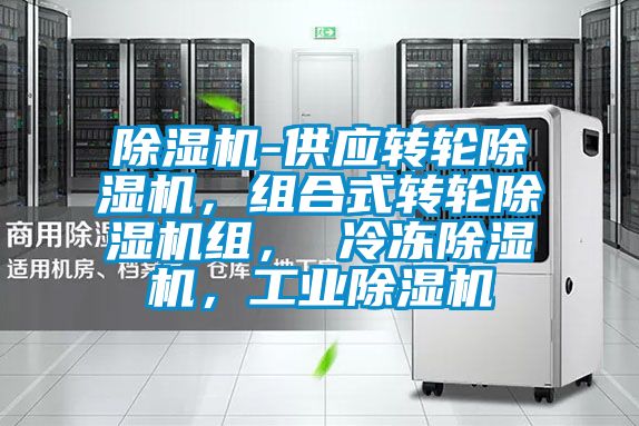 除濕機-供應轉(zhuǎn)輪除濕機，組合式轉(zhuǎn)輪除濕機組， 冷凍除濕機，工業(yè)除濕機