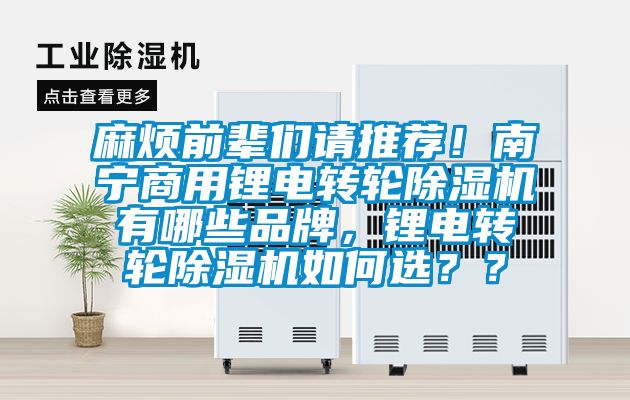 麻煩前輩們請(qǐng)推薦！南寧商用鋰電轉(zhuǎn)輪除濕機(jī)有哪些品牌，鋰電轉(zhuǎn)輪除濕機(jī)如何選？？