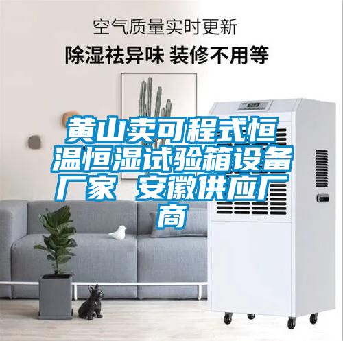 黃山賣可程式恒溫恒濕試驗箱設(shè)備廠家 安徽供應(yīng)廠商