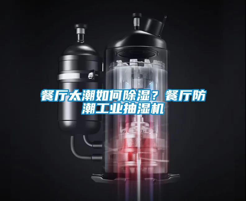 餐廳太潮如何除濕？餐廳防潮工業(yè)抽濕機(jī)