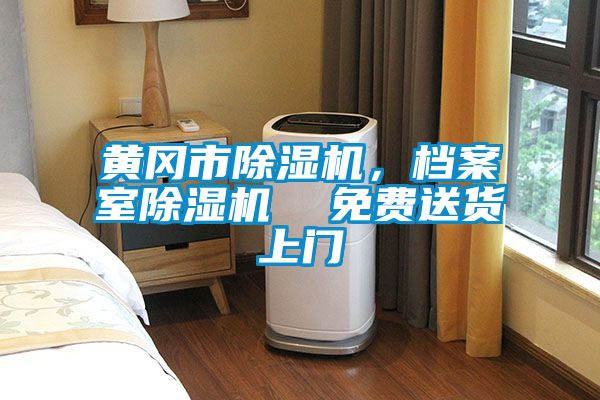 黃岡市除濕機(jī)，檔案室除濕機(jī)  免費(fèi)送貨上門