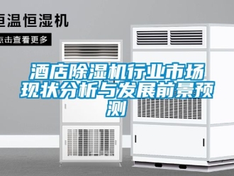 行業(yè)新聞酒店除濕機(jī)行業(yè)市場(chǎng)現(xiàn)狀分析與發(fā)展前景預(yù)測(cè)