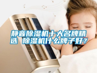 行業(yè)新聞靜音除濕機(jī)十大名牌精選 除濕機(jī)什么牌子好？