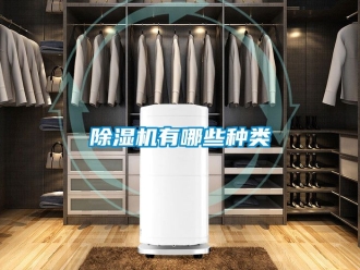 行業(yè)新聞除濕機有哪些種類