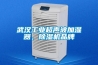 武漢工業(yè)超聲波加濕器，除濕機(jī)品牌
