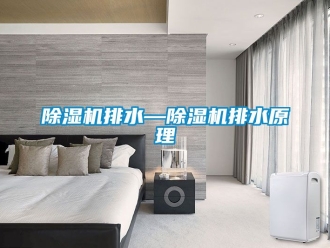 行業(yè)新聞除濕機(jī)排水—除濕機(jī)排水原理