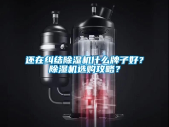 行業(yè)新聞還在糾結(jié)除濕機(jī)什么牌子好？除濕機(jī)選購攻略？
