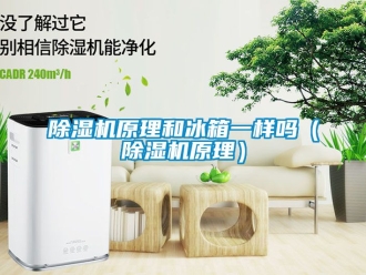 行業(yè)新聞除濕機原理和冰箱一樣嗎（除濕機原理）