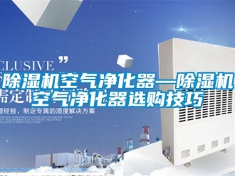 行業(yè)新聞除濕機(jī)空氣凈化器—除濕機(jī)空氣凈化器選購技巧