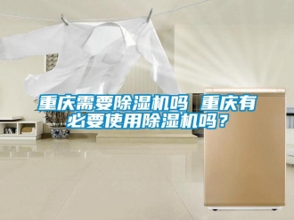 行業(yè)新聞重慶需要除濕機(jī)嗎 重慶有必要使用除濕機(jī)嗎？