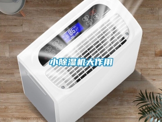 知識百科小除濕機(jī)大作用