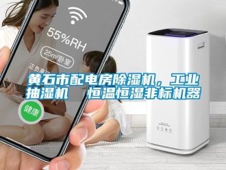 常見問題黃石市配電房除濕機，工業(yè)抽濕機  恒溫恒濕非標(biāo)機器