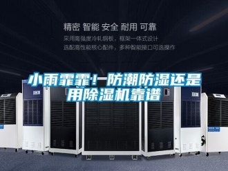 知識百科小雨霏霏！防潮防濕還是用除濕機(jī)靠譜