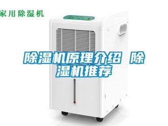 行業(yè)新聞除濕機原理介紹 除濕機推薦