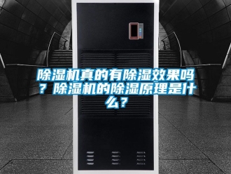 行業(yè)新聞除濕機(jī)真的有除濕效果嗎？除濕機(jī)的除濕原理是什么？