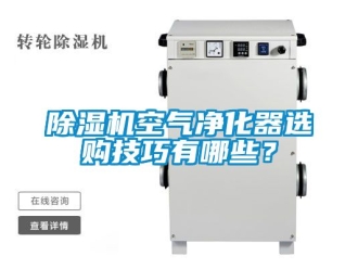 行業(yè)新聞除濕機(jī)空氣凈化器選購技巧有哪些？
